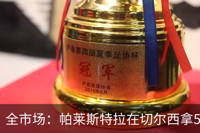 全市场：帕莱斯特拉在切尔西拿500万欧税后年薪，直接签到2033年