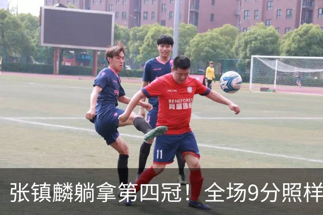 张镇麟躺拿第四冠！全场9分照样乐开花，这钱挣得比在辽宁轻松