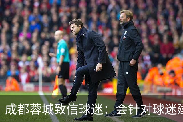 成都蓉城致信球迷：会针对球迷建议改进，持续抓好备战