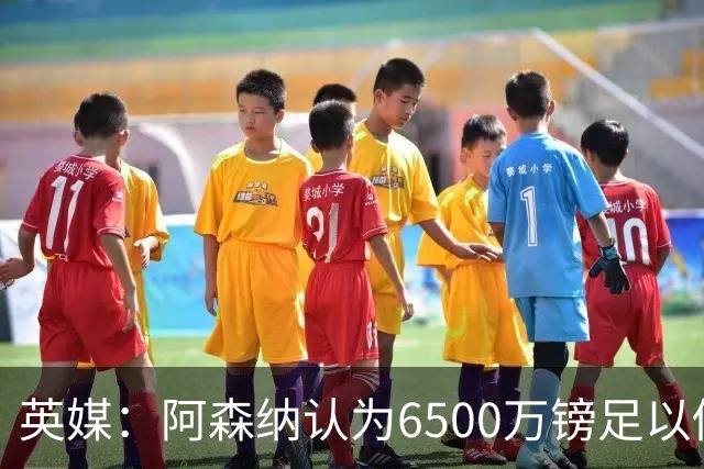 英媒：阿森纳认为6500万镑足以促成吉马良斯转会，纽卡不愿出售