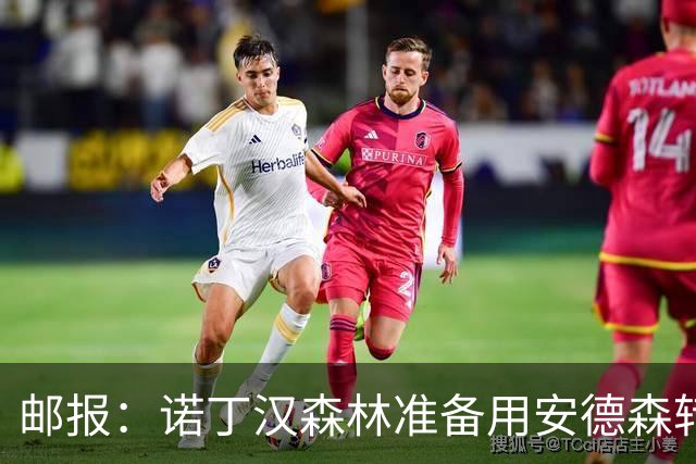 邮报：诺丁汉森林准备用安德森转会费引援，补强锋线和中场